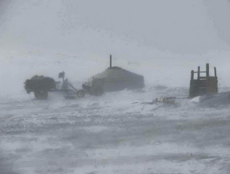 Малаа ойрын бэлчээрт бэлчээх, бага насны хүүхдийг малд явуулахгүй байхыг зөвлөв